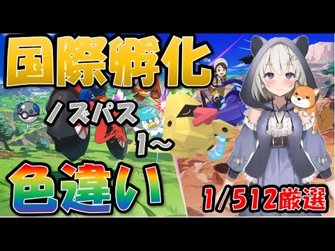 【ポケモンSV】国際孵化色違い厳選　ノズパス　1～　１日目