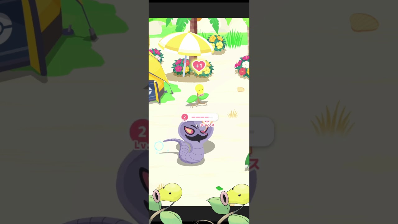 10/13シアン4日目睡眠リサーチ~芋持ちマダツボミ~#ポケモンスリープ #shorts #ポケモン #ポケスリ#シアン #マダツボミ ##haruka#akihuyuharuka