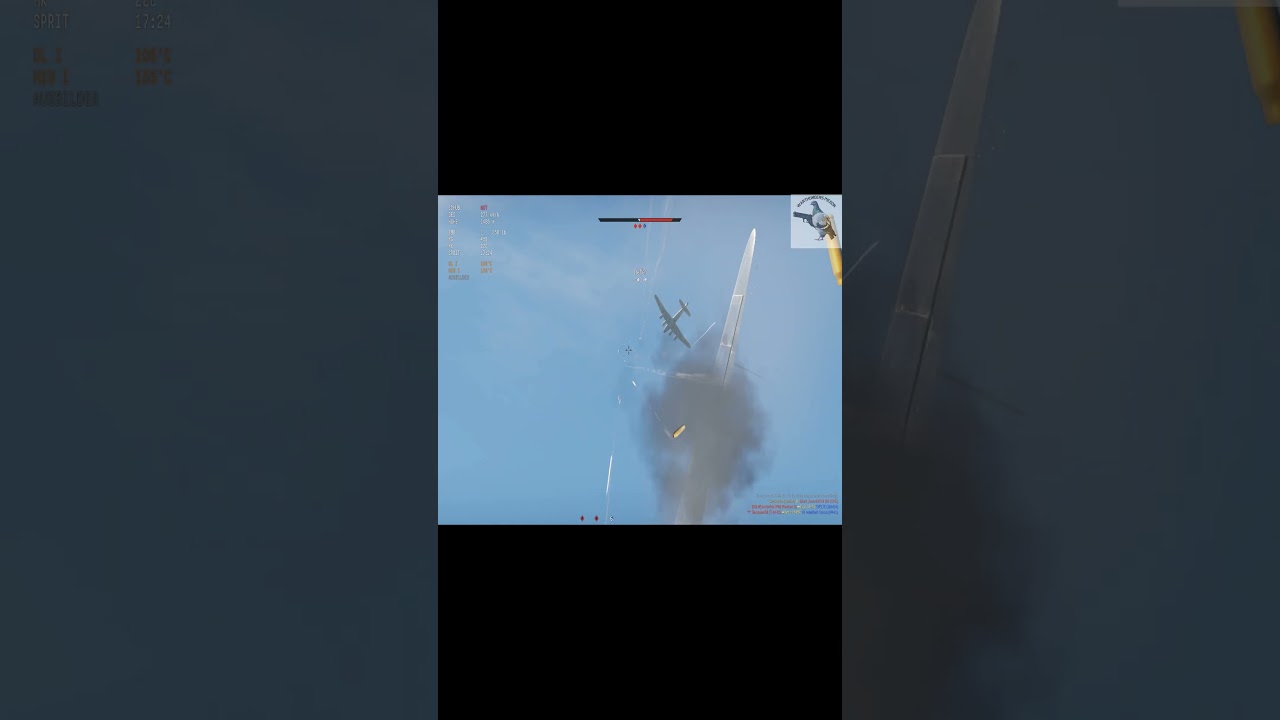 Warthunders Pigeon #1