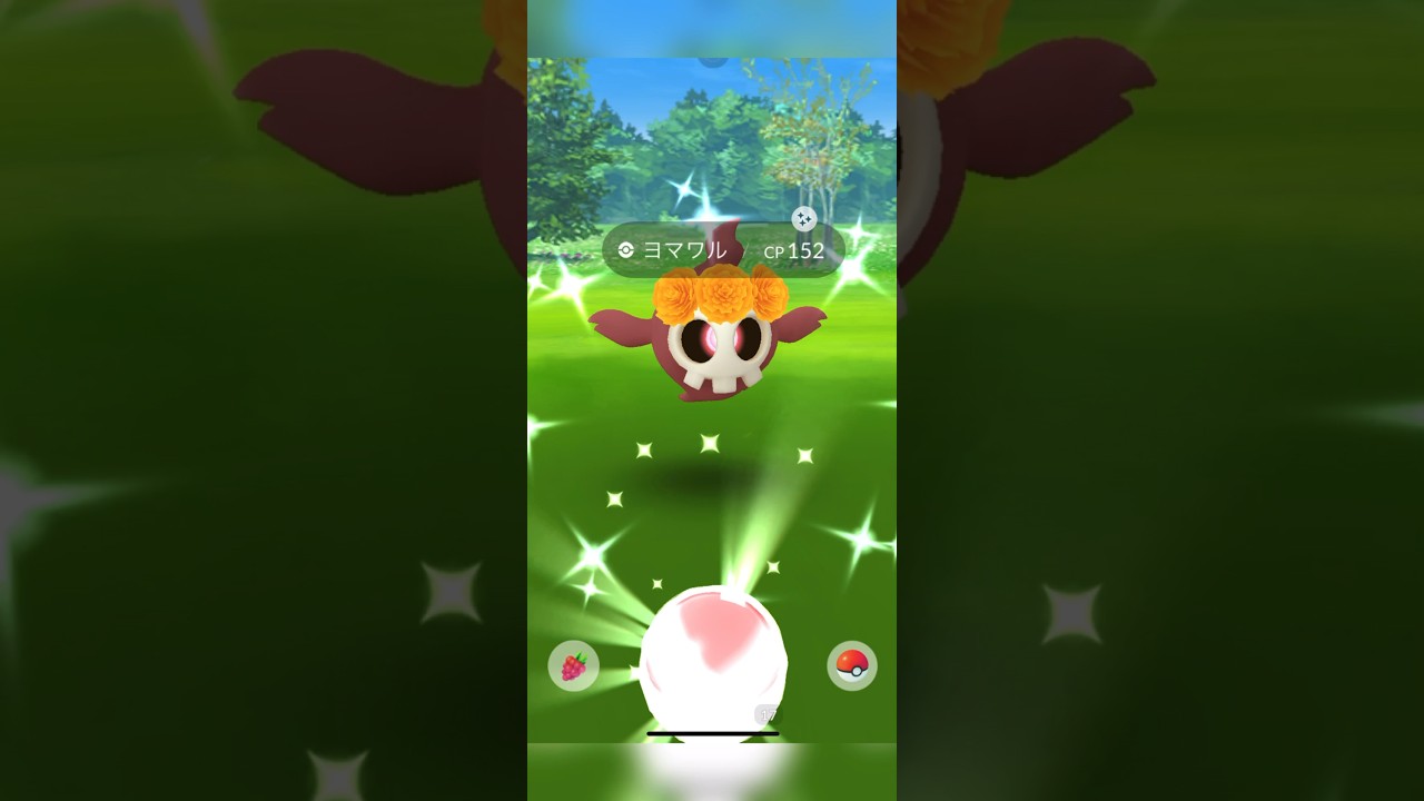 ヨマワルです！#ポケモンgo #ショート