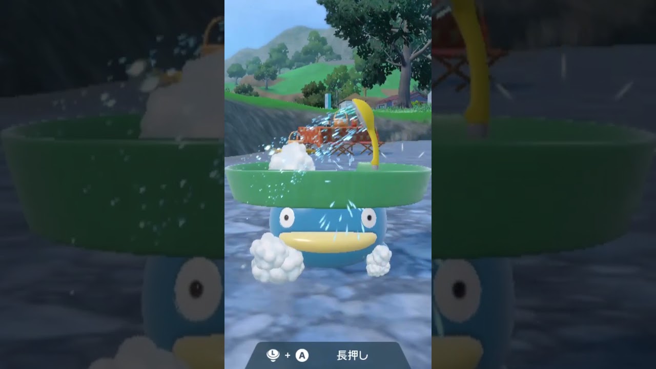 ハスボー Lotad【ポケモンsv】