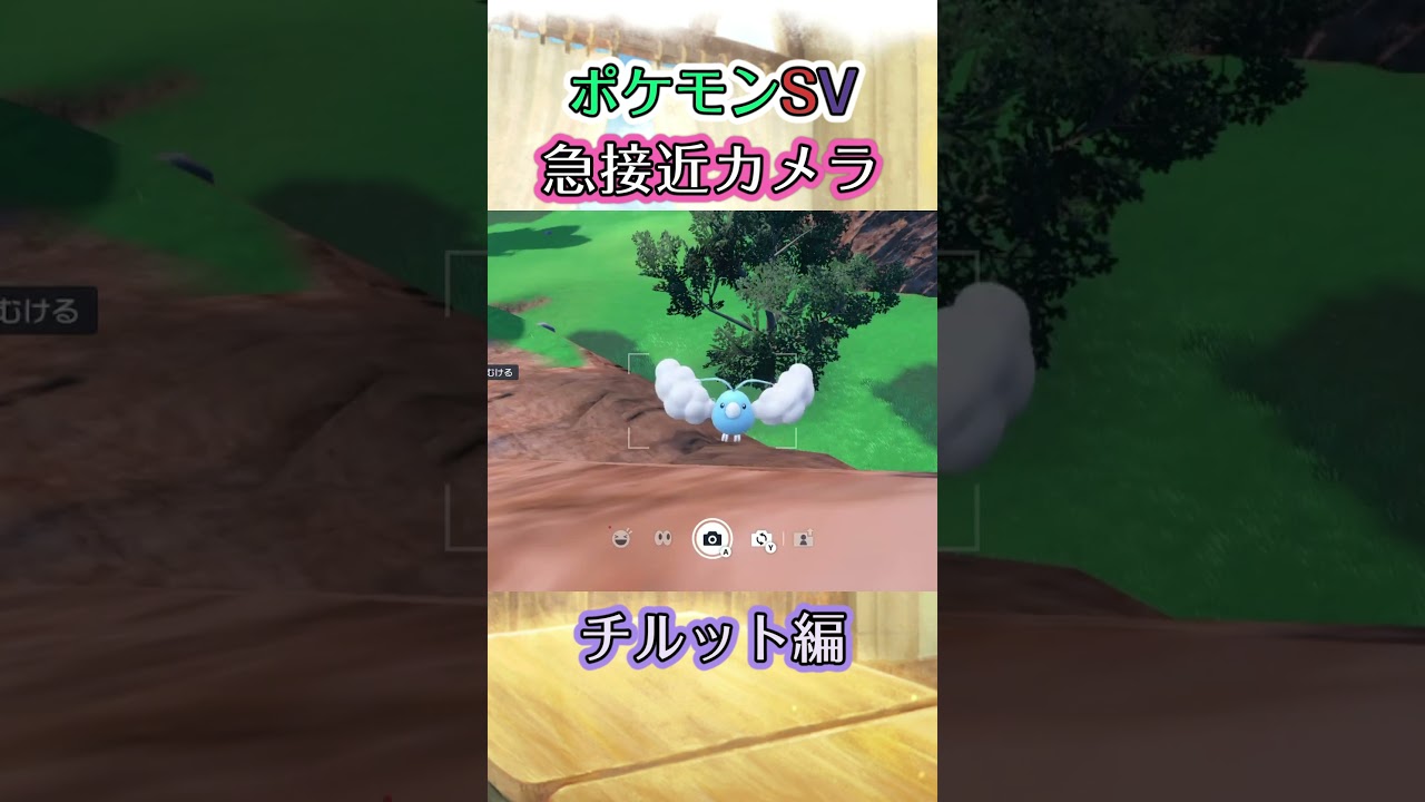 【ポケモンSV】チルットが一生懸命羽をﾊﾞﾀﾊﾞﾀさせながら近づいて来ようと頑張っているだけの動画 #ポケモン #ポケモンsv #チルット #shorts