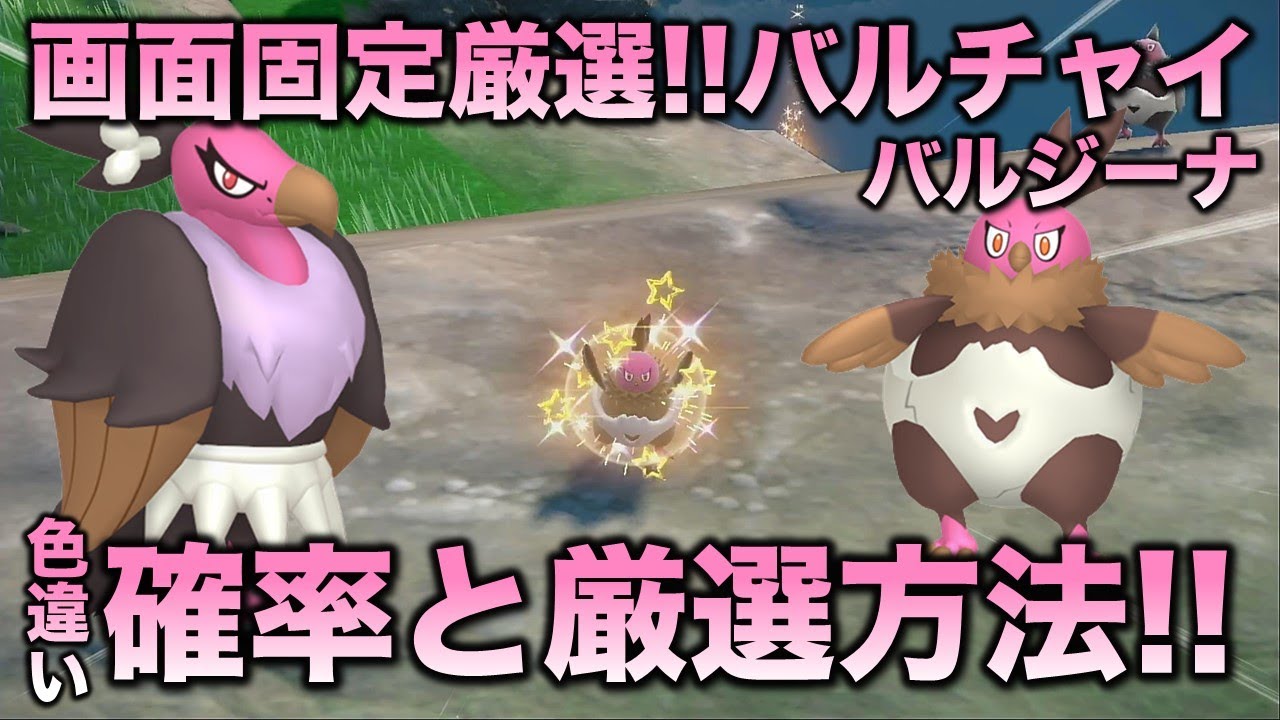 【画面固定!!色厳選】バルチャイ・バルジーナ編!!【ポケモンSV/スカーレット・バイオレット】