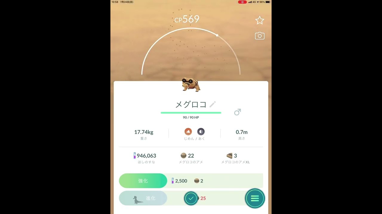 ポケモンGO  12 k mタマゴかえったメグロコ PokémonGO