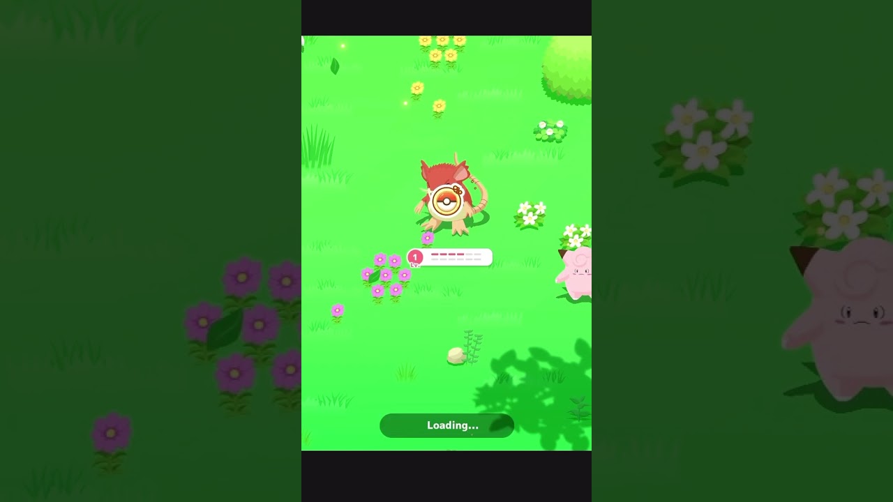 睡眠リサーチ ラッタ色違い #ポケモンスリープ #pokemonsleep