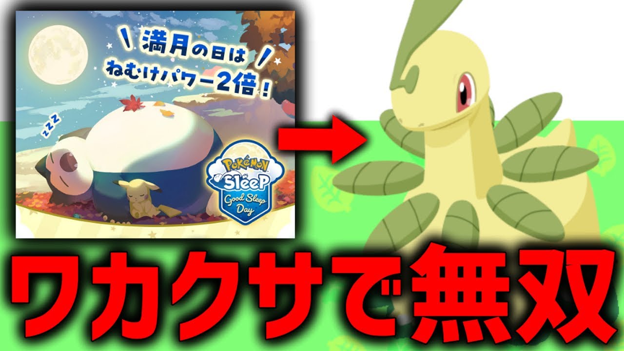 ワカクサで無双できる最強ベイリーフ爆誕した【ポケモンスリープ】
