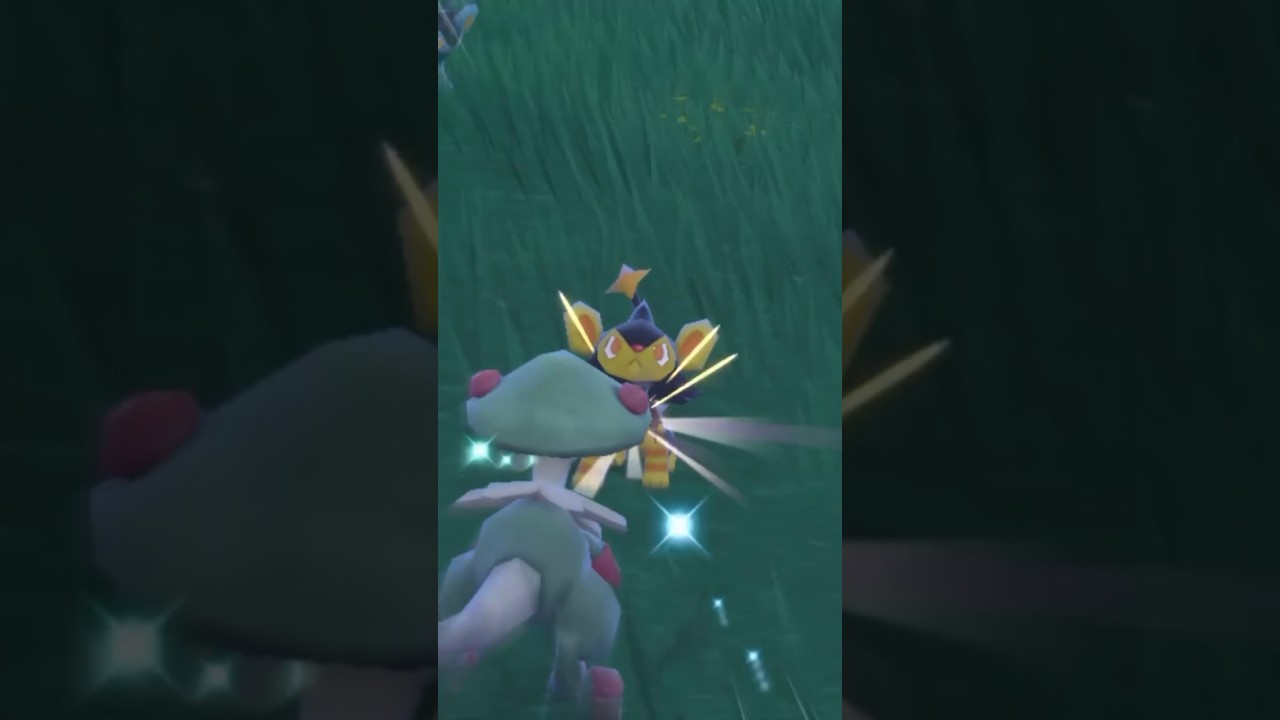 大量発生:色違いルクシオ編(*'▽'*)