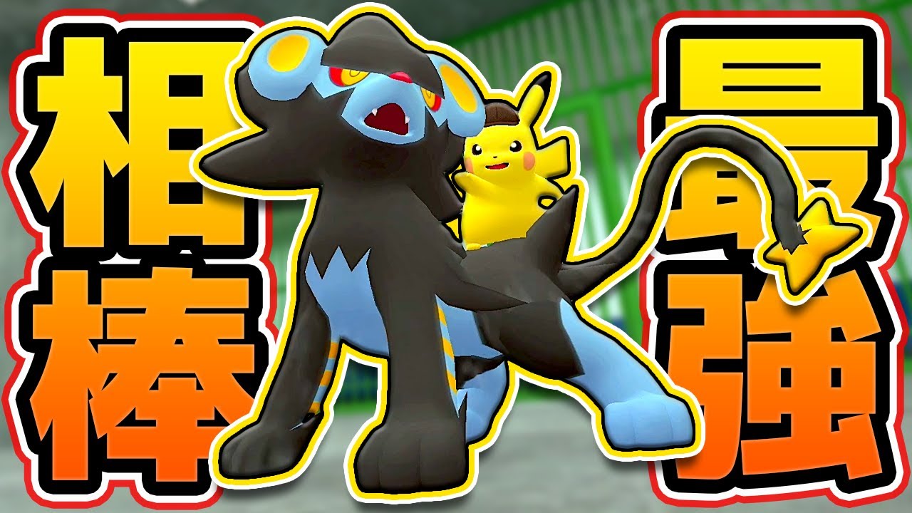 新しい相棒『レントラー』と情報収集でチュー🐭⚡️ #12 『帰ってきた 名探偵ピカチュウ』