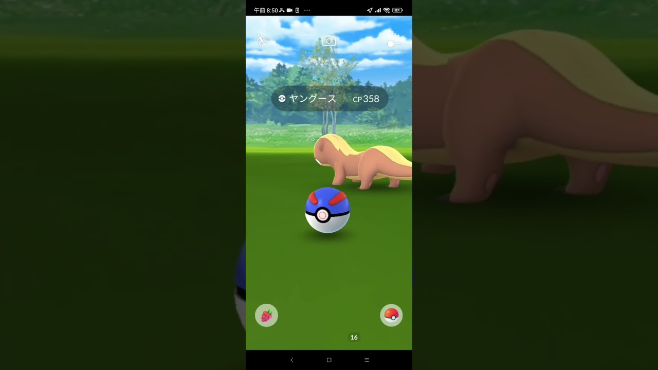ポケモンGO え？！え？！トリミアンの中にヤングースが？！？！Pokémon GO