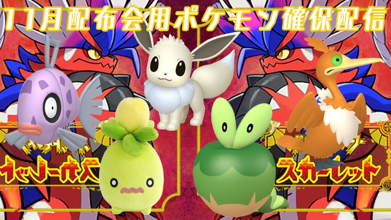 【ポケモンSV】11月配布会用のポケモンを捕まえる配信