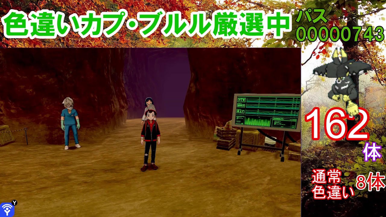 【ポケモン剣盾】カプ・ブルル色違い以外の色違いが出たら即配布！カプ・ブルル色厳選【ダイマックスアドベンチャー】