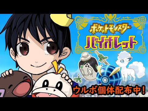 【夫婦配信】イラストリクエスト受付中！色違い厳選！ポケモン育成！ポケットモンスターSV配信！図鑑埋め手伝い・交換会などもやってるよ！【ポケモンSV】