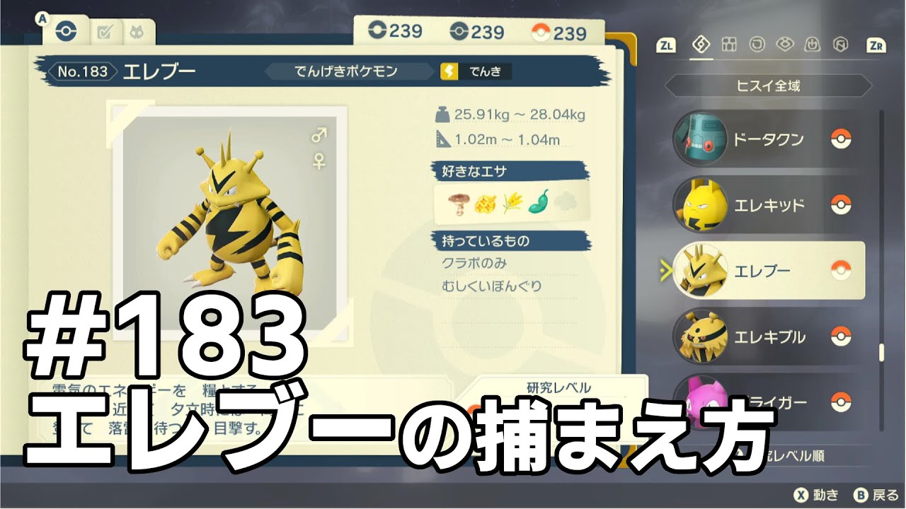 エレブーを探している方に見てほしい動画