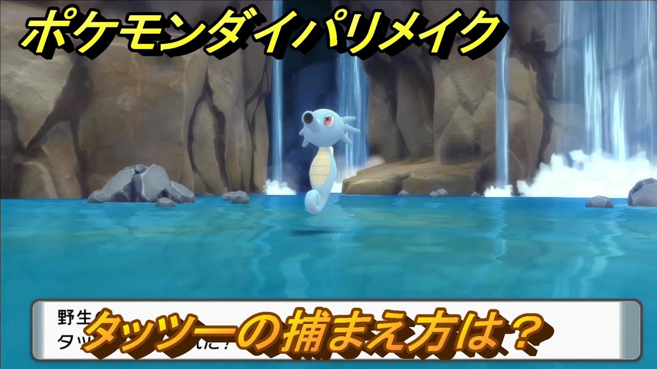 ポケモンダイパリメイク　タッツーの捕まえ方は？出現場所は？　最新版【ブリリアントダイヤモンド・シャイニングパール】