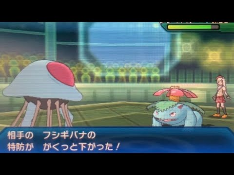 【USUMフリーバトル】ドククラゲ試運転