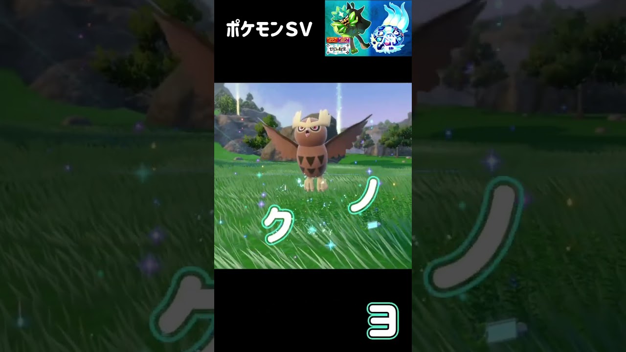 ホーホー　ヨルノズク　ポケモンSV みどりの仮面　#ポケモン