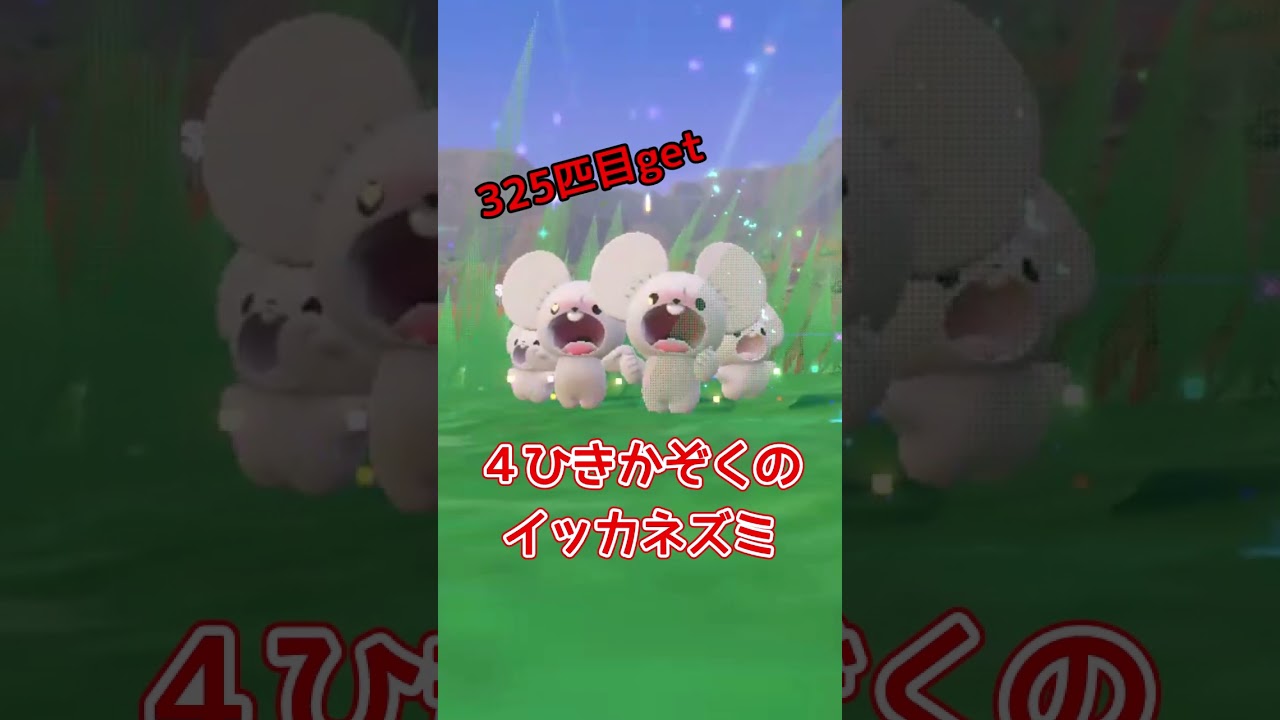 ナマケロやイッカネズミの色違い　#ポケモンsv  #色違いポケモン #色図鑑　#ポケモン図鑑