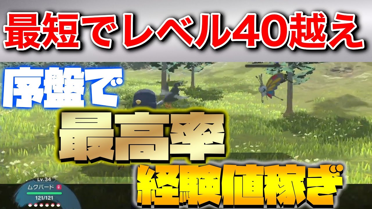 はじめから余裕で４０レベル↑最効率＆超お手軽!!序盤からできる経験値稼ぎ、レベル上げの方法を詳しく解説！アゲハント周回【Pokémon LEGENDS アルセウス】【レジェンズアルセウス】