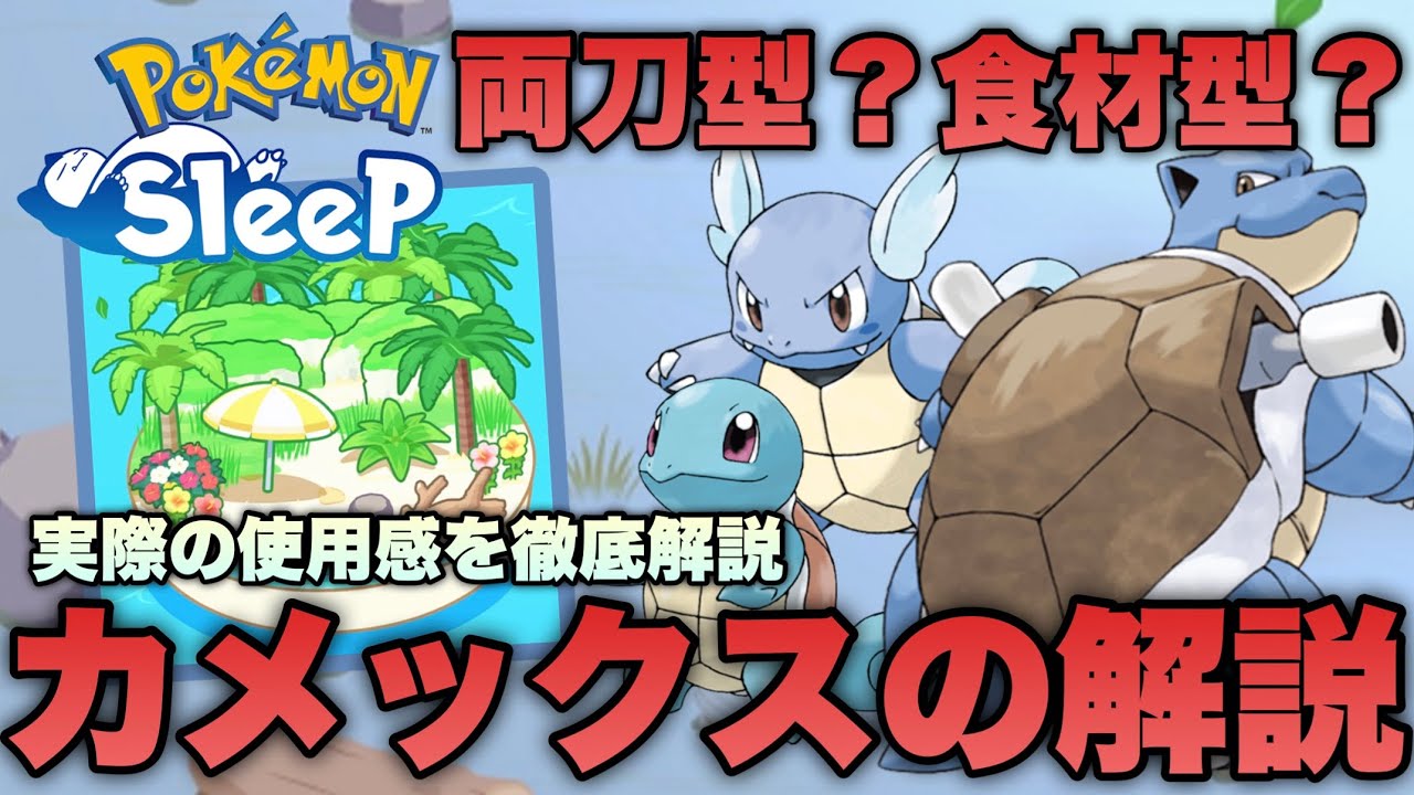 【初心者必見】両刀型と食材型はどっちが良い？カメックスの性能を解説します【ポケモンスリープ/安心院幽】