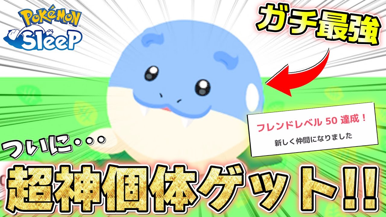 【神】ついにタマザラシの神個体を捕獲しました。アザラシハンター卒業します!!!!!【ポケモンスリープ/シアンの砂浜】