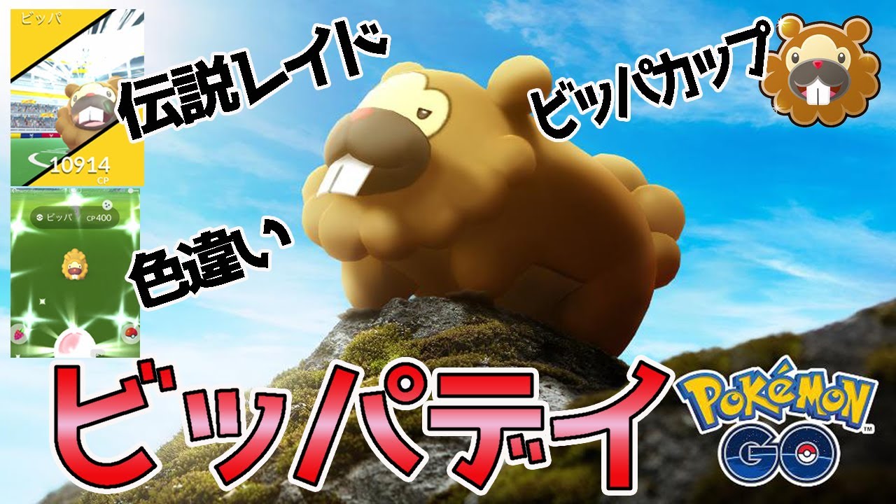 【ポケモンGO】 ビッパ…ビッパ…ビッパ！伝説レイドにビッパカップ！ビッパづくしのビッパデイ！