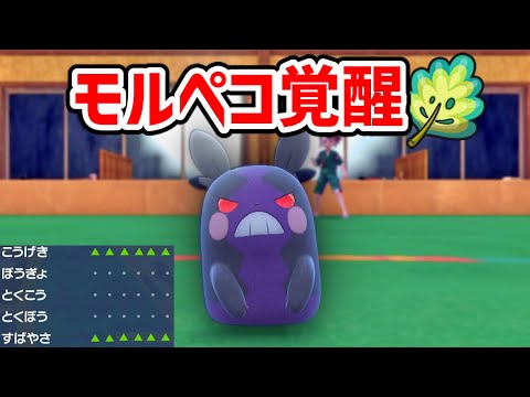 本来不可能な「攻撃上昇と先制技無効」を可能にしたモルペコが強すぎる。【ポケモンSV実況】