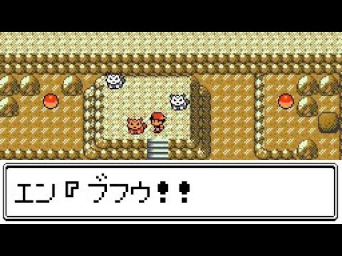 ポケモン金銀　エンテイの没イベント