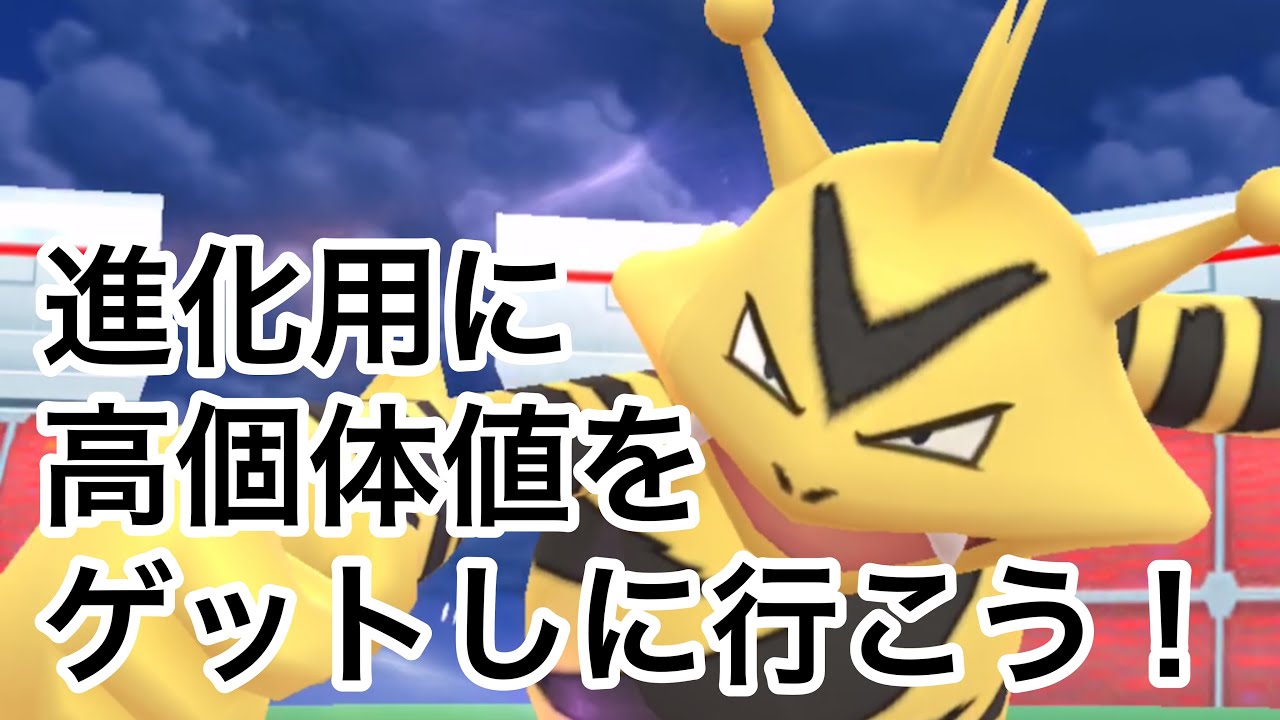 進化用に高個体値エレブーをゲットしたい！【ポケモンGO】