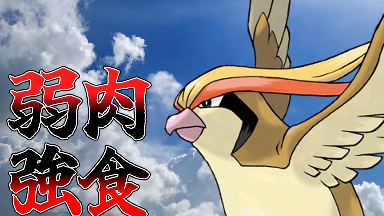 弱肉強食の権化　ピジョットの生態がヤバすぎる【ゆっくり解説】【ポケモン解説】