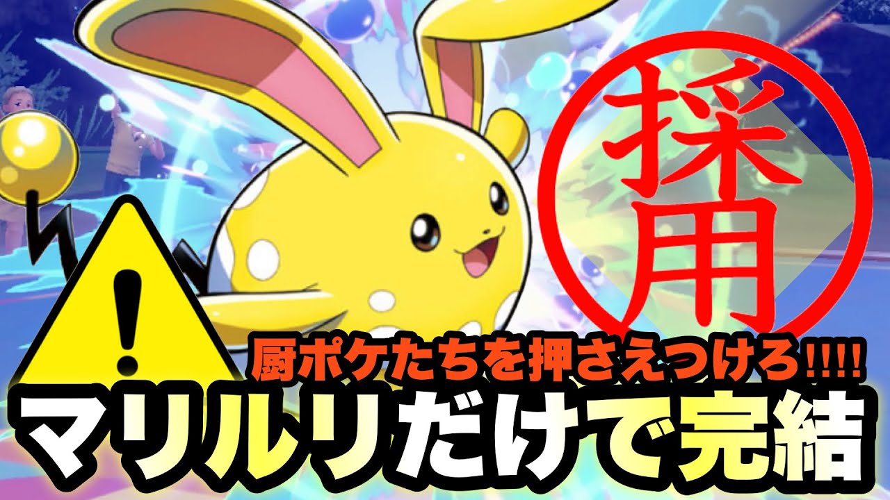 【 兎暴君 】これヤバい！マリルリが強すぎるて今流行のポケモンたちにマウントをとれる唯一無二の兎戦士をご覧あれ！【 ポケモンsv 】