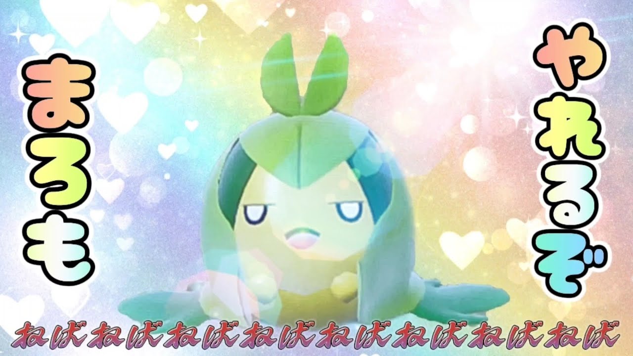 ねばねば界かわいさ五輪強化選手クルマユ！競合アブ〇ボンに勝てるのか？他の奴らはゲテモノばかりなので眼中にはナイ【ポケモンSV】