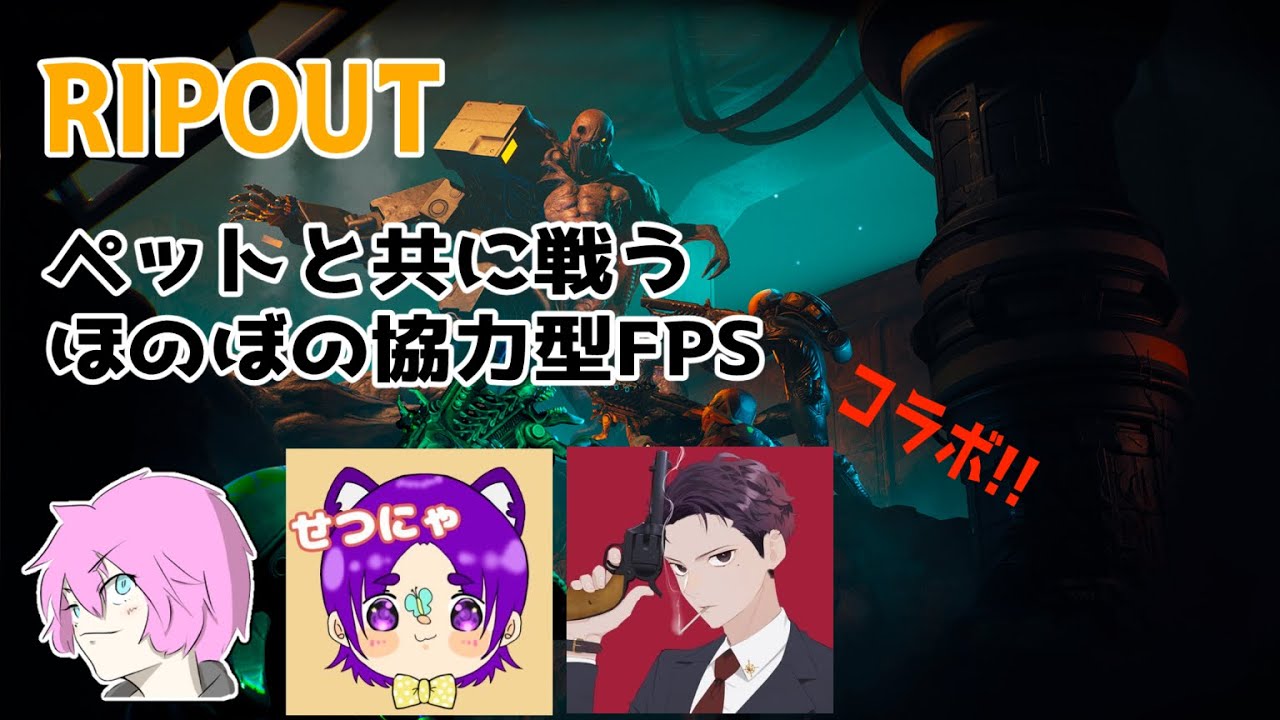 【RIPOUT】ペットと戦うほのぼの協力型FPS!!【ポッポ蘭丸/刹那☆/夜行性はんばぁぐ】