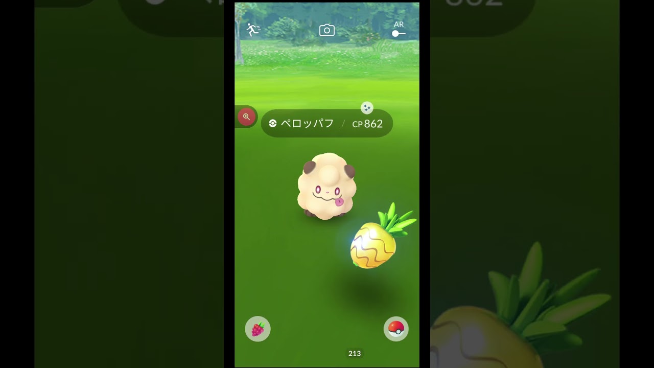 #shorts◇色違いペロッパフ・・・進化するからもう一匹欲しい【ポケモンGO】#672