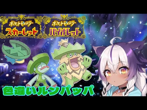 【ポケモンSV】色違いハスボー → ハスブレロ → ルンパッパ【ポケットモンスタースカーレットバイオレット】