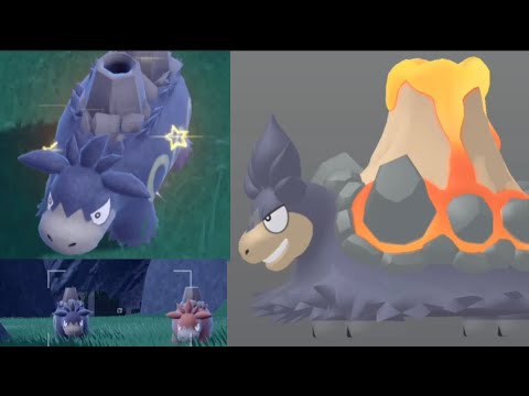 色違いバクーダ