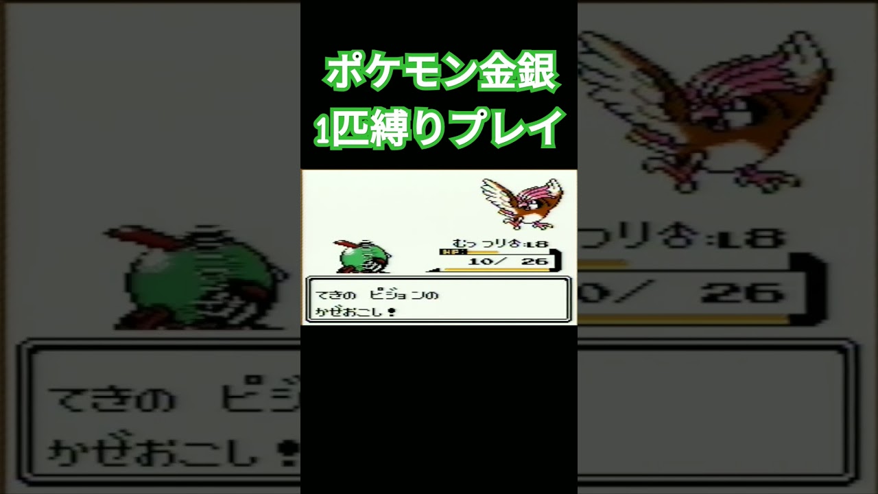 【ポケモン金銀】ポケモン1匹縛りプレイ!!ネイティver【縛りプレイ】#ポケモン金銀 #縛りプレイ #ネイティ #ネイティオ #ゲーム実況