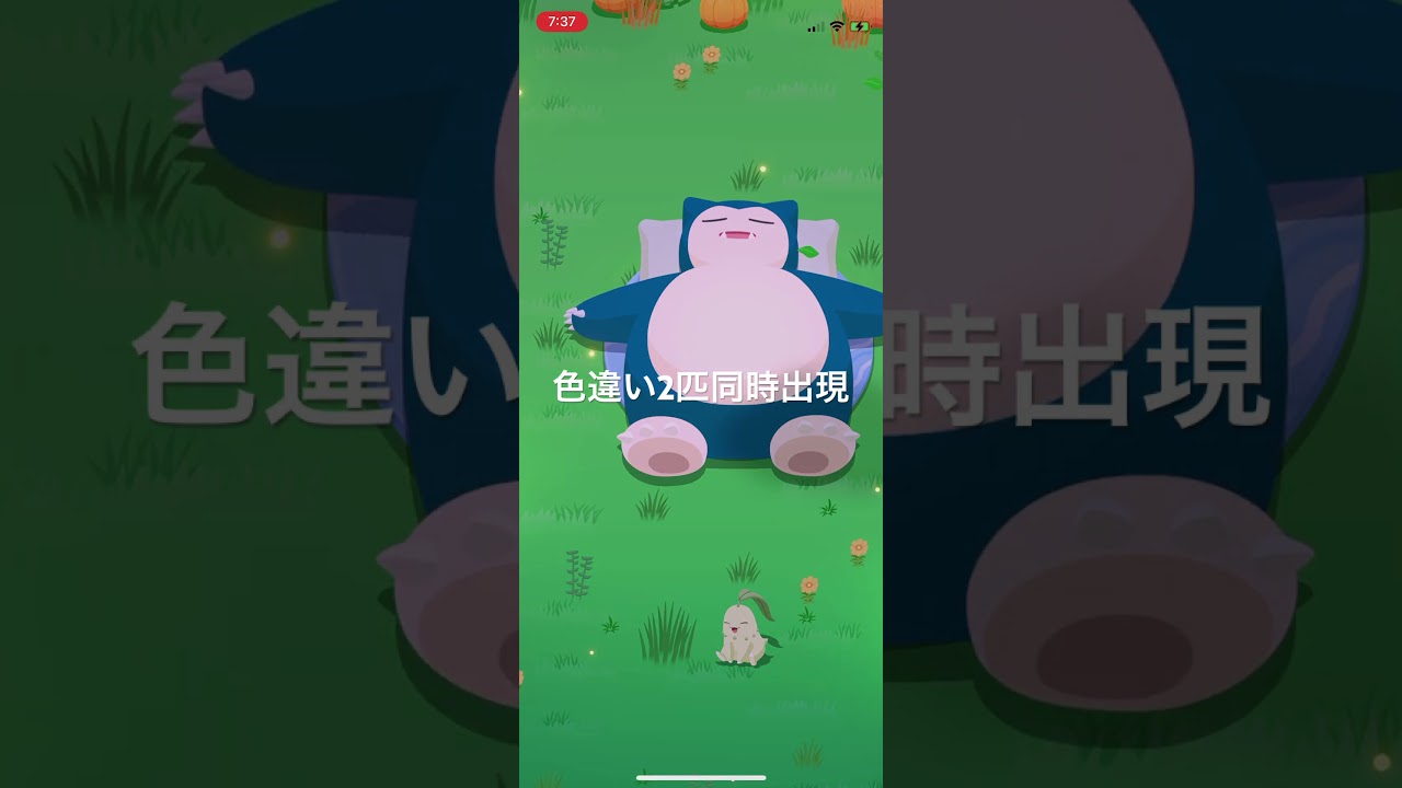ポケモンスリープ　色違いカラカラと色違いカイロスが同時に出現！ #pokémon #ポケモン