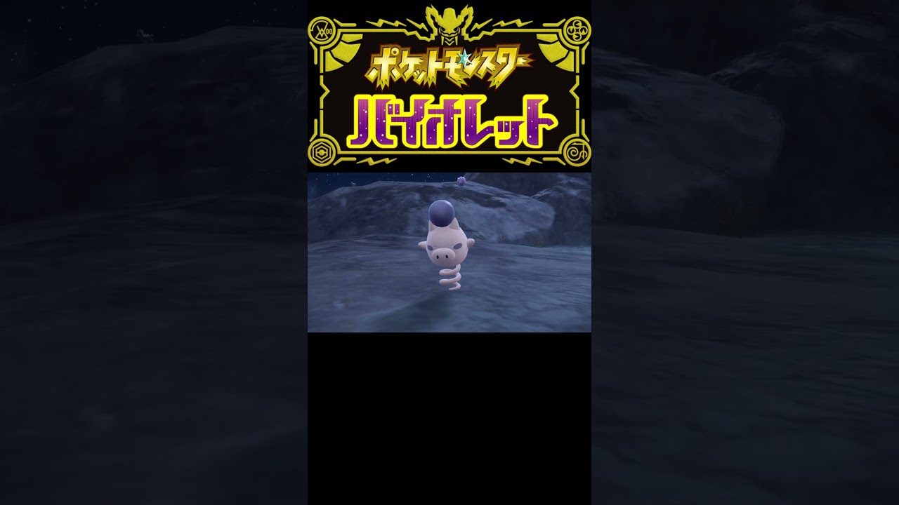 【ポケモンSV】レベボ入り色違いバネブー/ブーピッグ  #short