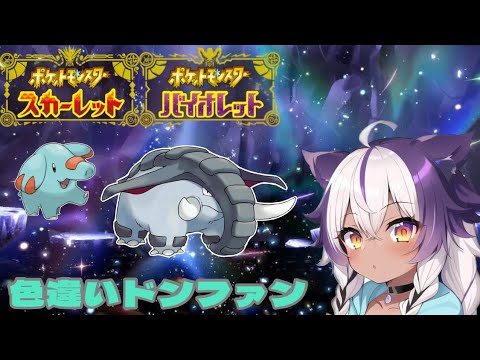 【ポケモンSV】色違いゴマゾウ → ドンファン【ポケットモンスタースカーレットバイオレット】