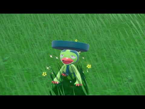 碧の仮面　ハスブレロ　色違い