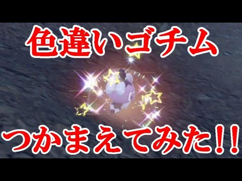 【ポケモンSV】色違いゴチムつかまえてみた！！