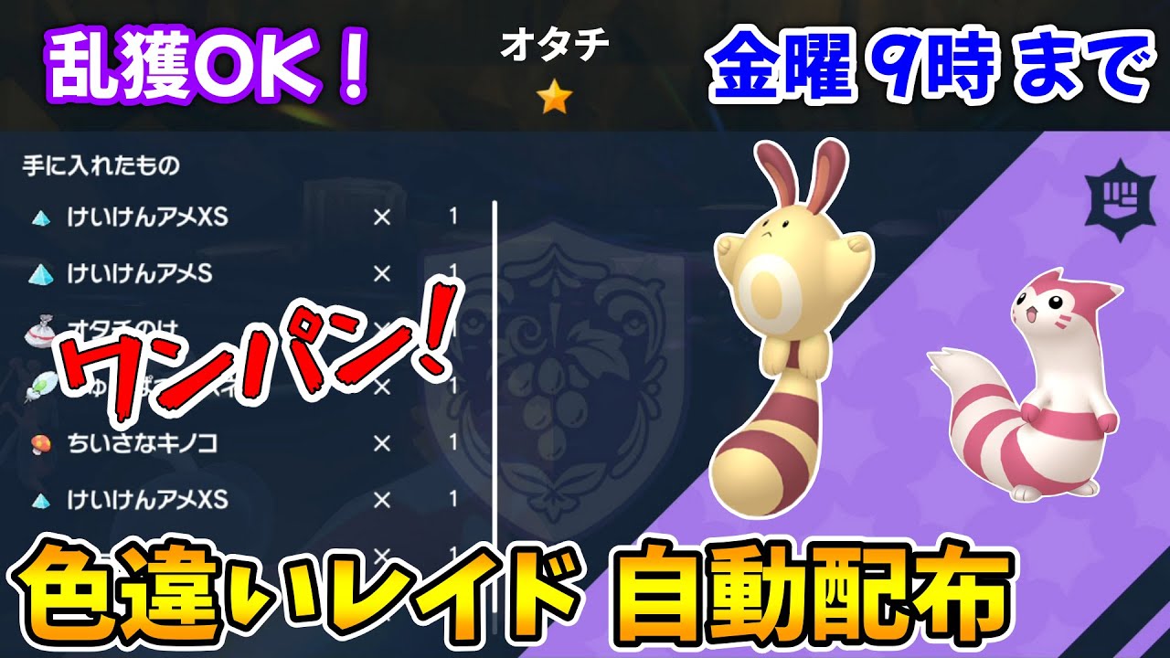 乱獲OK！色違いオタチ自動レイド配布会！【ポケモンSV】