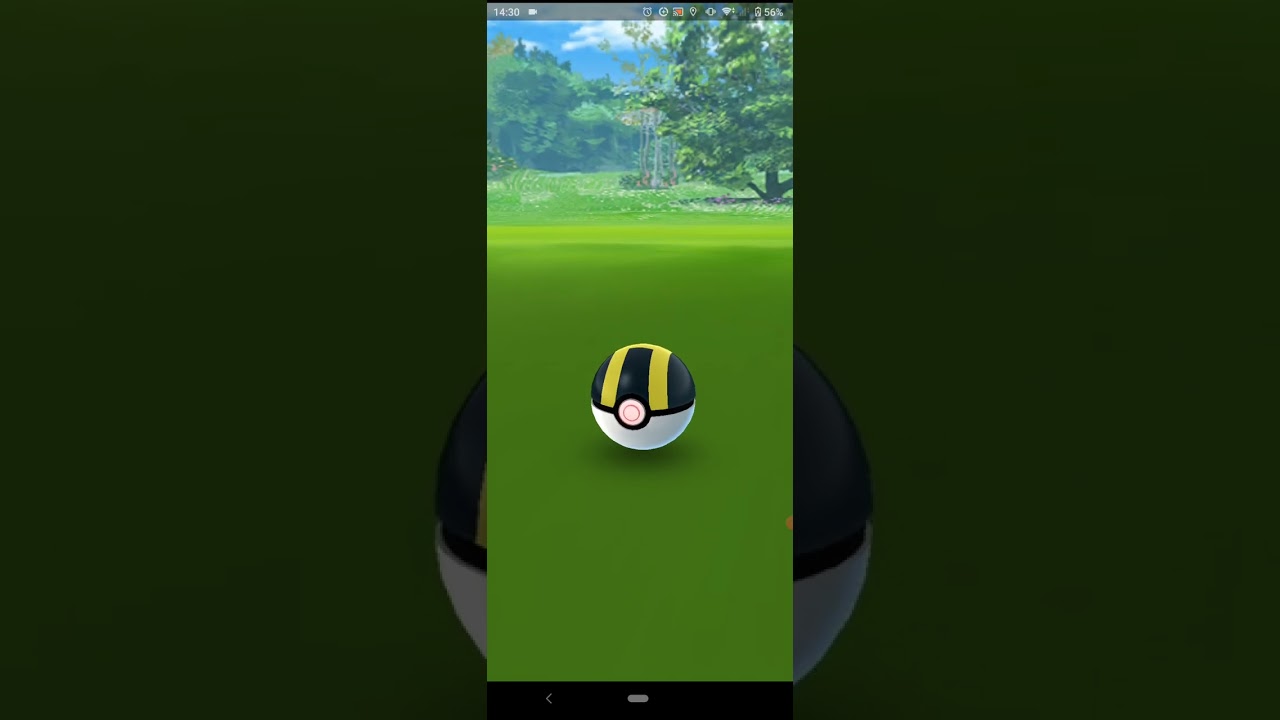 20231103のポケモンgoの原種ウパー