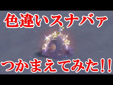 【ポケモンSV】色違いスナバァつかまえてみた！！