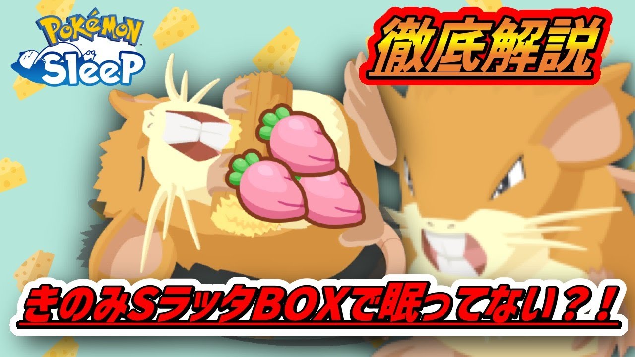 【必見】BOXの中に眠った『きのみの数S』ラッタ・コラッタはいませんか？！【ポケモンスリープ】