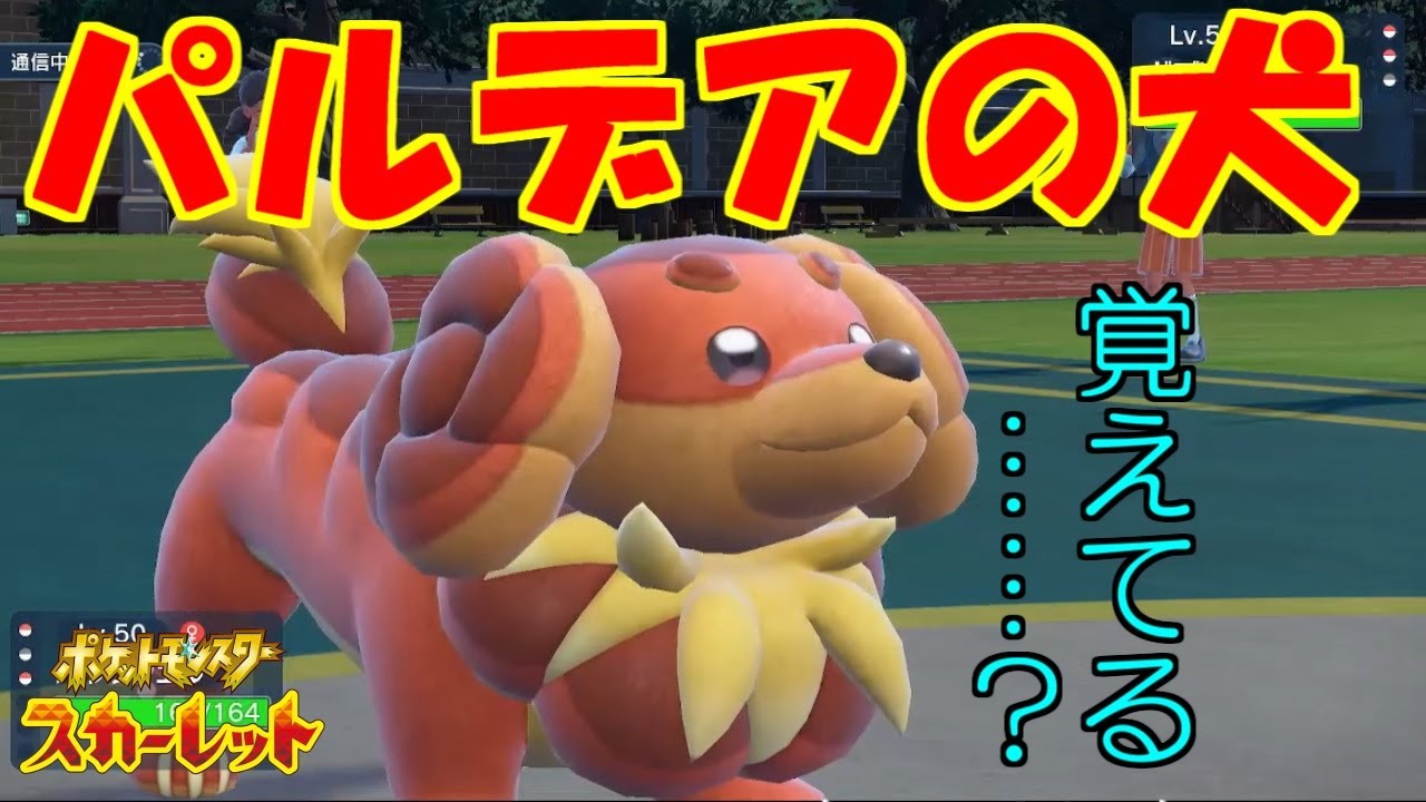 その耳ドーナッてるの？：バウッツェル！【ポケットモンスタースカーレット・バイオレット・SV】