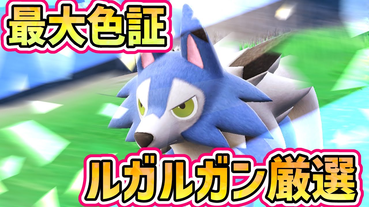 【ポケモンSV】最大サイズ色証ルガルガン厳選【まひるのすがた】