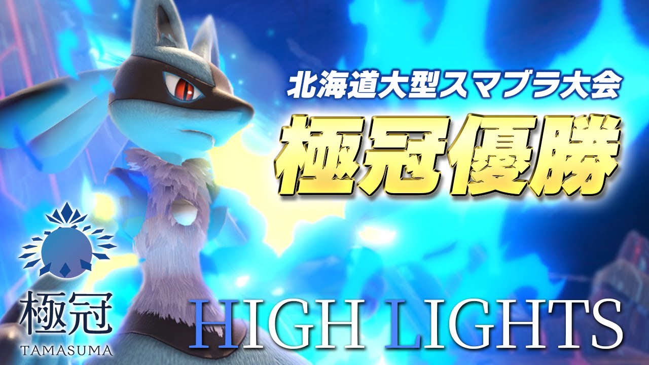 極冠優勝しました Tsuルカリオ&テリー ハイライト集【スマブラSP】