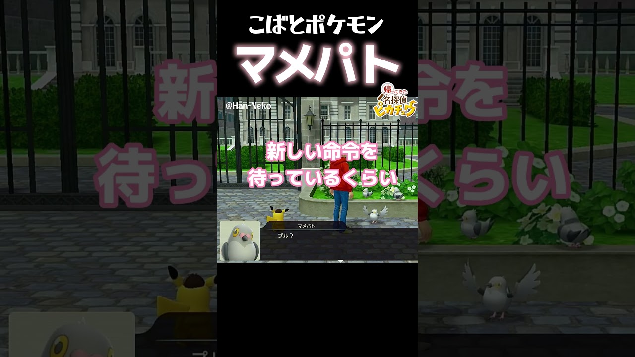 かわいいマメパト！どんなポケモン？【帰ってきた名探偵ピカチュウ】