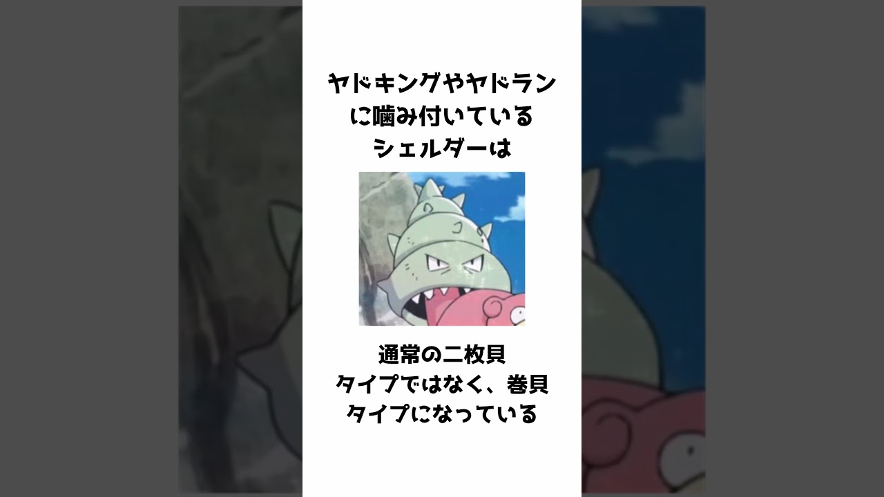 シェルダーの豆知識